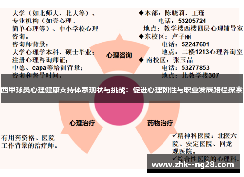 西甲球员心理健康支持体系现状与挑战：促进心理韧性与职业发展路径探索