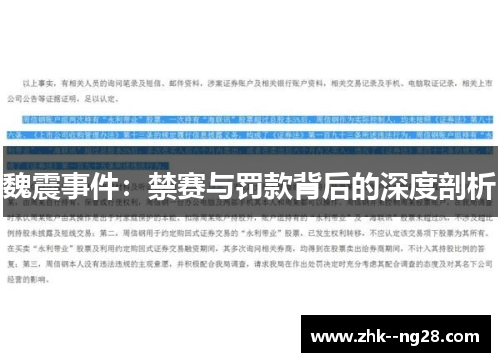 魏震事件：禁赛与罚款背后的深度剖析